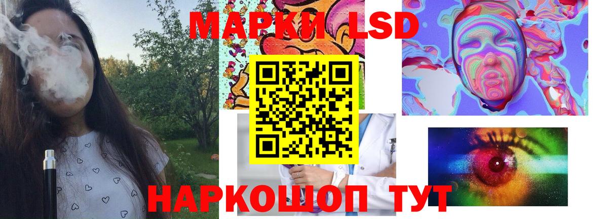 МЕФ Сокол