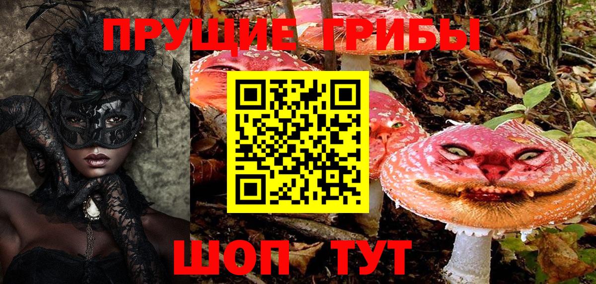 Галлюциногенные грибы прущие грибы  Вход с VPN  Псилоцибиновые грибы прущие грибы  Сокол 