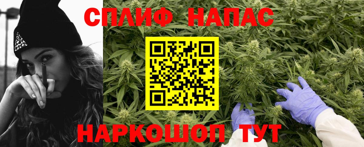 Каннабис сатива  Бошки марихуана марихуана  Вход с VPN  Каннабис гибрид  Конопля Ganja  Сокол 